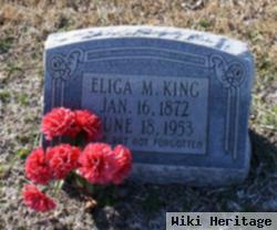 Eliga Monroe King