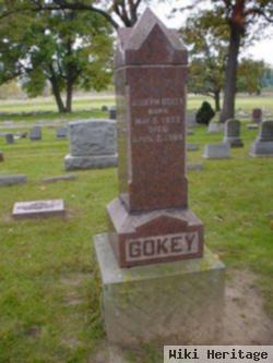 Joseph Gokey