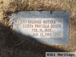 Sleeta Pricilla Quinn