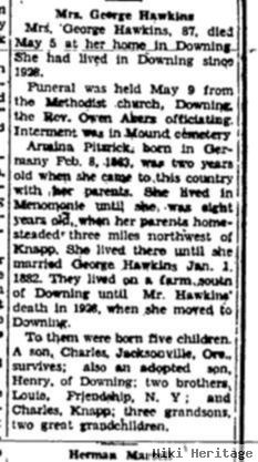 Armina Louisa "minnie" Petzrick Hawkins