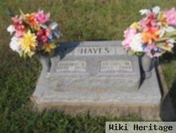 Lillian M. Hayes