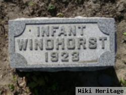 Infant Windhorst