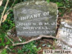 Infant Norvell