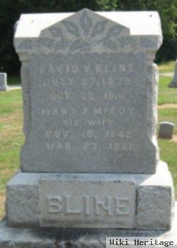 David Vernon Bline