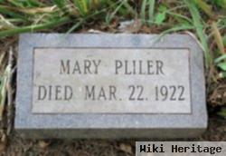 Mary Asbury Pliler