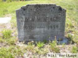 Jay W. Montague