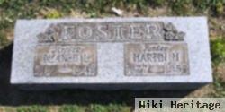 Mrs Blanch L. Strickler Foster