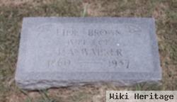 Lide Brown Walker