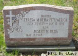 Teresa M Reha Fitzpatrick