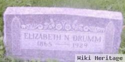 Elizabeth N Drumm