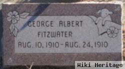 George Albert Fitzwater