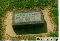 Delbert Julius Webster