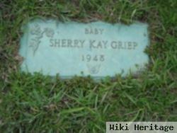 Sherry Kay Griep