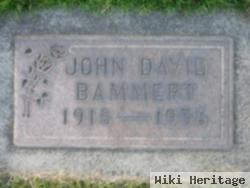 John David Bammert