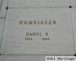 Daniel H Hameister