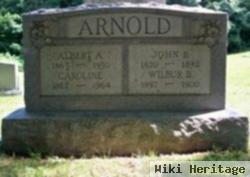 Albert A Arnold