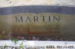 Efron A. Martin