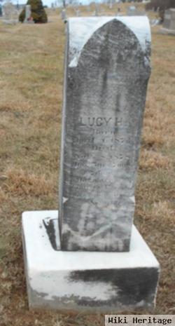 Lucy H Schaible