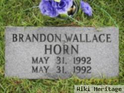 Brandon Wallace Horn