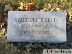 Sarah Ann Price Selts