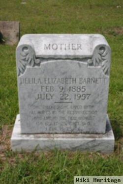 Delila Elizabeth Cochran Barnett