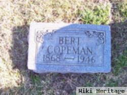 Bert Copeman