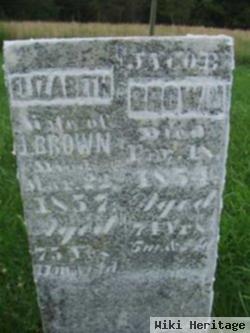 Elizabeth Ulrich Brown