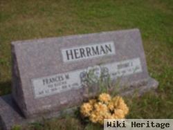 Jerome J Herrman