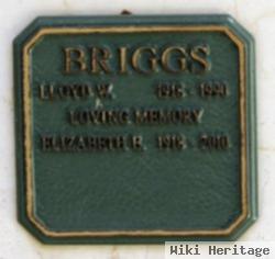 Elizabeth Barton Ellis Briggs
