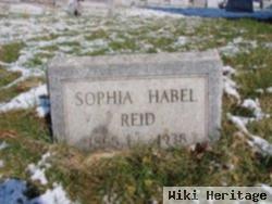 Sophia Habel Reid