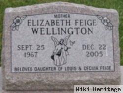 Elizabeth Feige Wellington