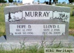 Lloyd L. Murray