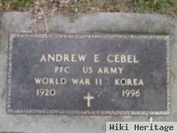 Andrew E Cebel