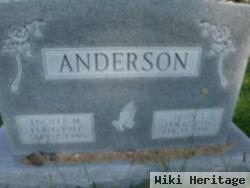 Lucille M Henson Anderson