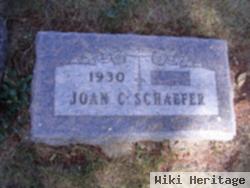 Joan C. Schaefer