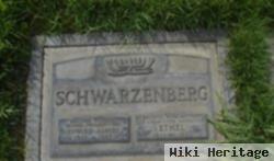 Edward Albert Schwarzenberg