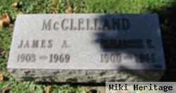 James A Mcclelland