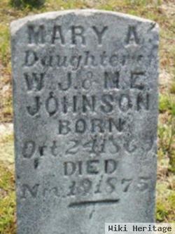 Mary A. Johnson