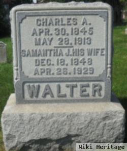 Samantha J Walter