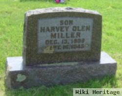 Henry Olen Miller