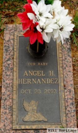 Angel H. Hernandez