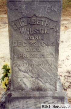 Elizabeth Ann Wright Wilson
