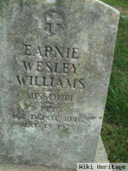 Ernie Wesley Williams