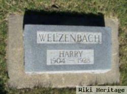 Harry Emiel Welzenbach