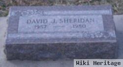 David J Sheridan