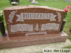 Julia Mae "judy" Reppert Roudebush