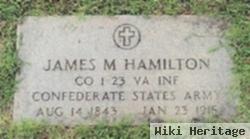 James M Hamilton