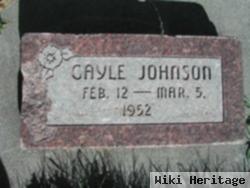 Gayle Johnson