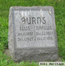 Ellis Nuten Burns