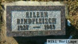 Eileen Busch Rindfleisch